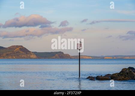 Lyme Regis, Dorset, Royaume-Uni. 15 mars 2021. Météo au Royaume-Uni : un mouette perchée sur un marqueur surplombant la côte jurassique et le Cap d'or juste avant le coucher du soleil. Les falaises de West Bay et Burton Bradstock, vues au loin, brillent d'or sous le soleil de la fin de la soirée. Credit: Celia McMahon/Alamy Live News Banque D'Images