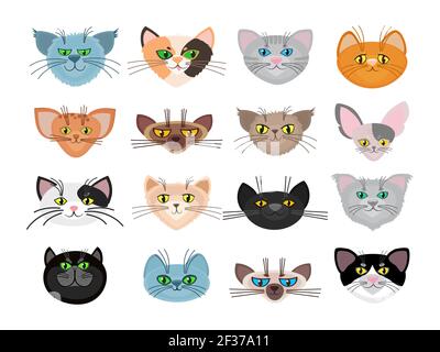 Illustration vectorielle de visages de chat mignon. Musez les animaux et l'ensemble d'animaux avec des moustaches Illustration de Vecteur