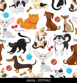 Arrière-plan du vecteur PET. Motif chiens et chats sans couture. Animaux chatons et chiots, animal de compagnie de pedigree avec illustration de jouets Illustration de Vecteur