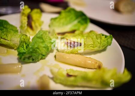 Un gros plan de salade méditerranéenne de bourgeons de laitue et d'anchois. Banque D'Images