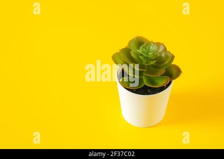 Fleur verte artificielle avec des feuilles dans un pot Banque D'Images