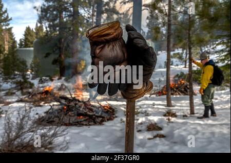 South Lake Tahoe, Californie, États-Unis. 11 février 2021. Après avoir mis en place plusieurs coups de pieu pompier MIKE WICKS regarde à une brûlure prescrite avant de monter une colline pour s'installer davantage au parc Van Sickle Bi-State dans South Lake Tahoe. Au cours d'un petit matin de février frais et venteux, près du lac Tahoe, une équipe de cinq pompiers est descendue dans un parc enneigé et fortement boisé, à cheval sur la frontière entre la Californie et le Nevada. Ils sont arrivés à déclencher des incendies, pas à les éteindre. Crédit : Renee C. Byer/Sacramento Bee/ZUMA Wire/Alay Live News Banque D'Images