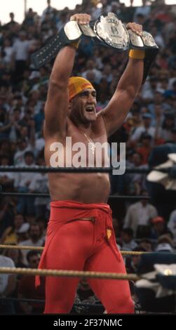 Hulk Hogan 1993 photo de John Barrett/PHOTOLINK Banque D'Images