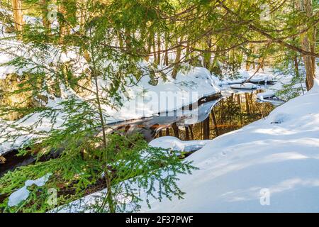 Zone de conservation de Muskoka High Falls Comté de Muskoka Algonquin Highlands Bracebridge Ontario Canada en hiver Banque D'Images