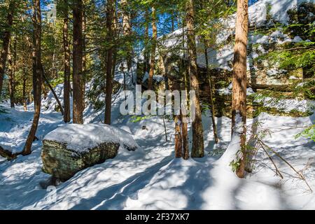 Zone de conservation de Muskoka High Falls Comté de Muskoka Algonquin Highlands Bracebridge Ontario Canada en hiver Banque D'Images