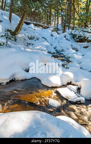 Zone de conservation de Muskoka High Falls Comté de Muskoka Algonquin Highlands Bracebridge Ontario Canada en hiver Banque D'Images