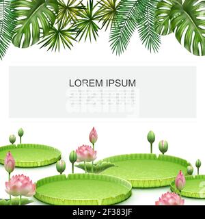 Plantes tropicales réalistes modèle coloré avec fleurs de lotus monstera et l'illustration vectorielle des feuilles de palmier Illustration de Vecteur