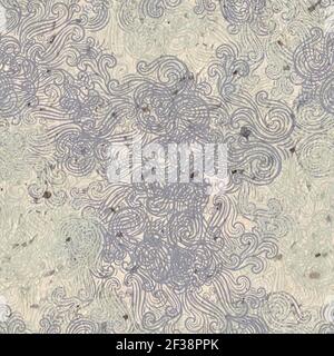 Motif sans couture de motifs damasques dispersés dessinés Banque D'Images