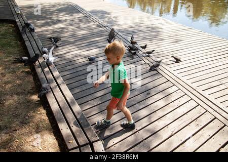 Petit enfant nourrissant des pigeons dans la rue le jour de l'été stationnement Banque D'Images