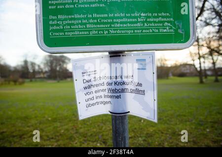 Husum, Allemagne. 14 mars 2021. Une note ('le parc du château est filmé par une webcam pendant la fleur de crocus et transmis à l'Internet') est coincé sous un panneau d'information pour les visiteurs du parc du château à Husum. Pendant des siècles, les crocus Blossoms de Husum attirent les gens sur la côte de la mer du Nord. Et cette année aussi, les quatre millions de crocus qui fleurissent actuellement dans le parc du château de Husum sont les premières expériences de printemps. Credit: Gregor Fischer/dpa/Alay Live News Banque D'Images