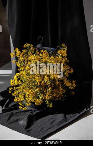 Fleurs fleuries dans la cage d'oiseaux sur fond noir Banque D'Images