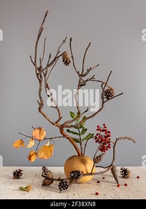 composition de branches de pin avec des cônes, de baies de rowan et d'une branche avec des feuilles d'automne. Banque D'Images