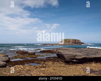 Rock Platform et Grasshopper Island, Depot Beach, Murramarang National Park, Nouvelle-Galles du Sud, Australie Banque D'Images