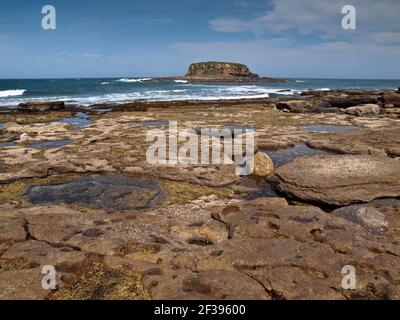 Grasshopper Island, Depot Beach, Murramarang Narional Park, Nouvelle-Galles du Sud, Australie Banque D'Images