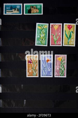 05.03.2021 Istanbul Turquie - Collection bulgare de timbres-poste vers 1965 - 1978 - page 20. Fleurs Banque D'Images