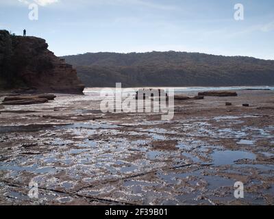 Homme à distance sur une colline en haut de la plate-forme de roche réflexions près de Depot Beach, Murramarang National Park, NSW, Australie Banque D'Images