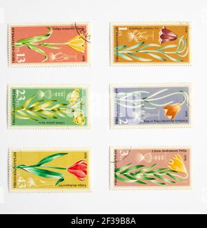 05.03.2021 Istanbul Turquie - Timbre utilisé et annulé. Un timbre imprimé en Bulgarie Tulip Serie.1978 Banque D'Images