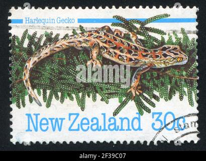 NOUVELLE-ZÉLANDE - VERS 1984: Timbre imprimé par la Nouvelle-Zélande, montre Harlequin gecko, vers 1984 Banque D'Images