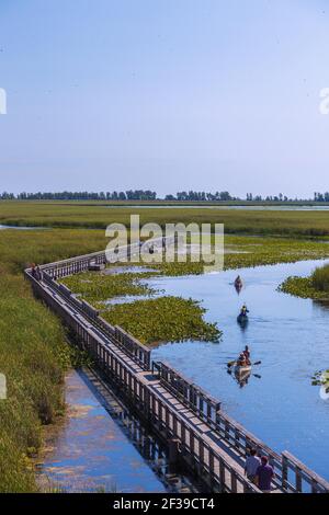 Géographie / voyage, Canada, parc national de la Pointe-Pelée, Marsh Board Walk, canoéiste, droits supplémentaires-autorisation-Info-non-disponible Banque D'Images