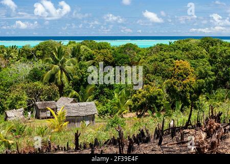 Maisons traditionnelles dans une forêt luxuriante avec vue magnifique sur les eaux turquoise de l'océan Indien et arbres brûlés à proximité, Ile Sainte Marie, Madagascar Banque D'Images