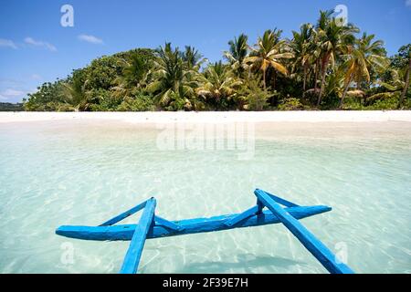 Île paradisiaque tropicale Ile aux Nattes avec sable blanc, ciel bleu, palmiers, mer émeraude. Madagascar Banque D'Images