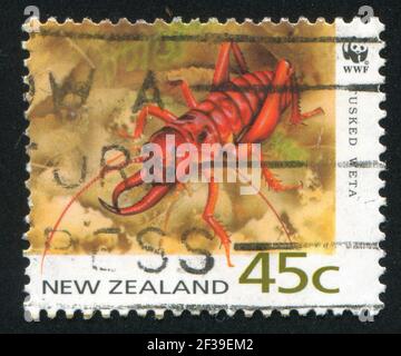 NOUVELLE-ZÉLANDE - VERS 1993: Timbre imprimé par la Nouvelle-Zélande, montre Tussed Weta, vers 1993 Banque D'Images