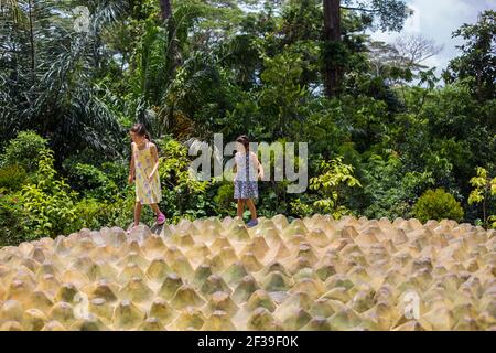 Deux jeunes femmes caucasiennes explorent une structure géante qui représente les verrues de cempedak, Botanic Gardens, Singapour. Banque D'Images