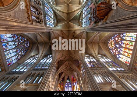 Metz (nord-est de la France) : intérieur de la cathédrale de Metz ou de la cathédrale Saint-Étienne (cathédrale Saint-Étienne-de-Metz), art gothique Vaults des cros Banque D'Images