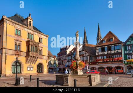 Obernai (nord-est de la France) : fontaine Sainte-Odile sur la place du marché et façades de maisons traditionnelles alsaciennes à colombages Banque D'Images