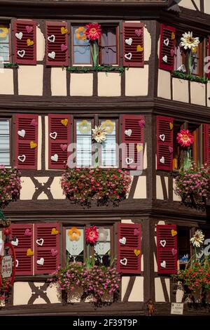 Colmar (nord-est de la France) : façades de maisons à colombages, maisons traditionnelles alsaciennes du centre-ville, boutique “au vieux pignon” dans la rue “ Banque D'Images