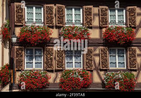 Colmar (nord-est de la France) : façade d'une maison traditionnelle dans le centre historique. Fenêtre et fleurs Banque D'Images