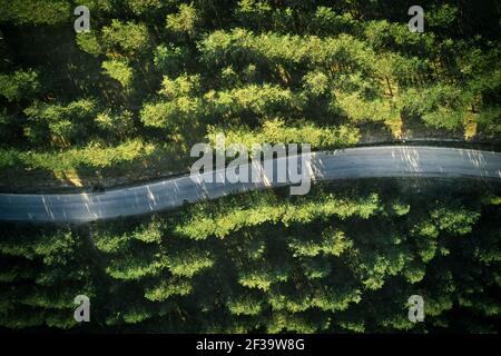 Vue de dessus de la route sinueuse vide à travers la forêt de pins, vue aérienne de drone pov Banque D'Images