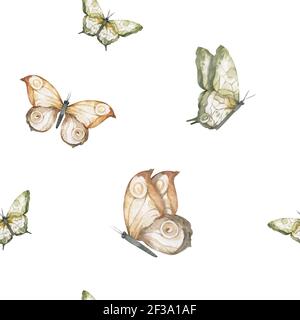 Motif sans couture aquarelle papillons volants, illustration de peinture dessinée à la main. Collection de papillons dessinant à la main. Arrière-plan blanc Banque D'Images