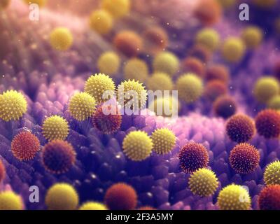 L'allergie au pollen est également connue sous le nom de rhume des foins ou de rhinite allergique. Illustration des grains de pollen. Banque D'Images