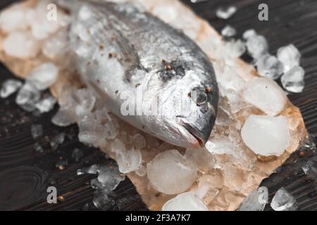 Poisson dorada cru ou dorade à tête dorée sur glace sur fond noir arrière-plan en bois Banque D'Images