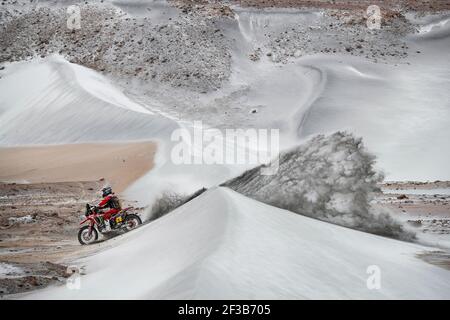 02 GONCALVES Paulo (por), Honda, Monster Energy Honda Team 2019, Motul, moto, action pendant le Dakar 2019, Stage 4, Arequipa - Moquegua, pérou, le 10 janvier - photo Florent Gooden / DPPI Banque D'Images