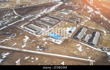 Grande ferme avec des barnes de vache au-dessus de la vue aérienne de drone. Thème agricole Banque D'Images