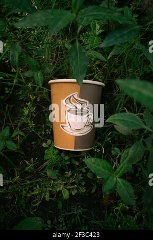 Une belle image contrastée d'un thé écologique jetable, tasse de carton d'eau assis dans une belle herbe verte luxuriante et des plantes et la nature. Banque D'Images