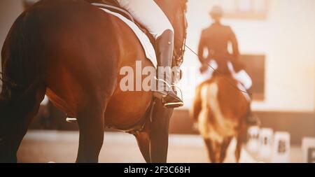 Deux beaux chevaux avec des cavaliers dans la selle participent à des compétitions de dressage, illuminés par la lumière du soleil. Rivalité. Sports équestres. Équitation Banque D'Images