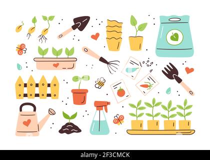 Semences et semis. Germination des pousses. Outils, pots et sol pour la plantation Illustration de Vecteur