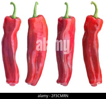 Poivrons rouges frais isolés sur fond blanc Banque D'Images