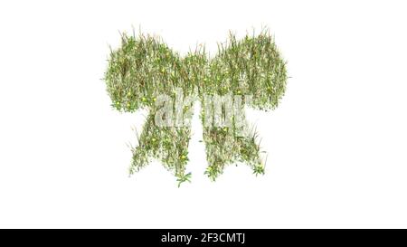 champ d'herbe 3d rendu avec des fleurs colorées en forme de symbole d'un joli noeud rose avec le sol isolé arrière-plan blanc Banque D'Images