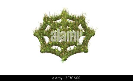 champ d'herbe 3d rendu avec des fleurs colorées en forme de symbole de toile d'araignée sans araignée avec terre isolée sur blanc arrière-plan Banque D'Images