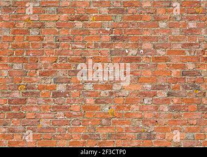 Cadre plein, fond de texture de motif de mur de briques sans couture, avec de vieilles briques britanniques Banque D'Images