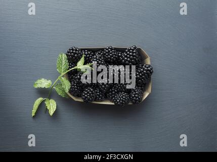 Directement au-dessus de la vue sur la boîte avec des mûres fraîches et une brindille verte avec plusieurs feuilles. Vitamines dans les fruits frais concept. Banque D'Images