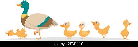 Mère canard. Collection de dessins animés de la famille des canards sauvages oiseaux marchant vecteur Illustration de Vecteur