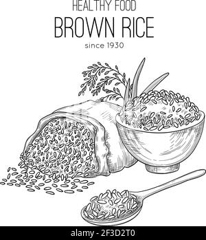 Riz tiré à la main. Contexte agricole avec sacs grains blé saine alimentation naturelle biologique plantes de riz blanc vecteur Illustration de Vecteur