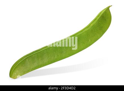 Jack Bean isolé sur fond blanc Banque D'Images