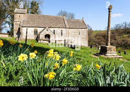 Les jonquilles printanières à l'église St Michaels dans le village de Duntisbourne Rouse, Gloucestershire, Royaume-Uni Banque D'Images