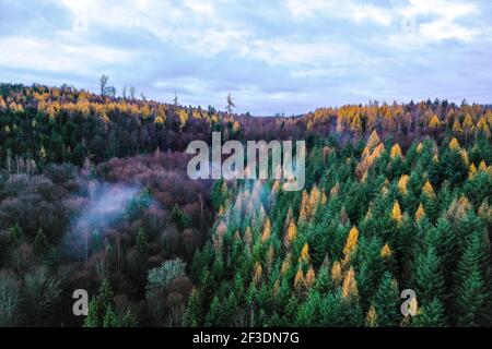Vue aérienne de la forêt brumeuse dense de Saint Quirin, Moselle, France Banque D'Images
